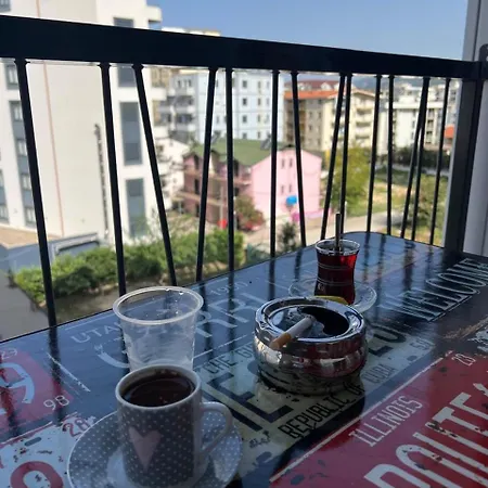 The Nest * Lezhë